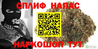 ешки Кингисепп