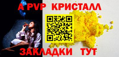 ешки Кингисепп
