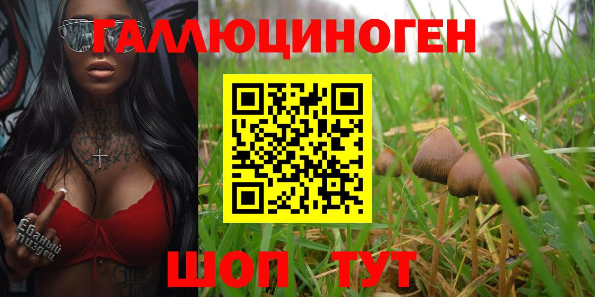 Галлюциногенные грибы Magic Shrooms Кумертау