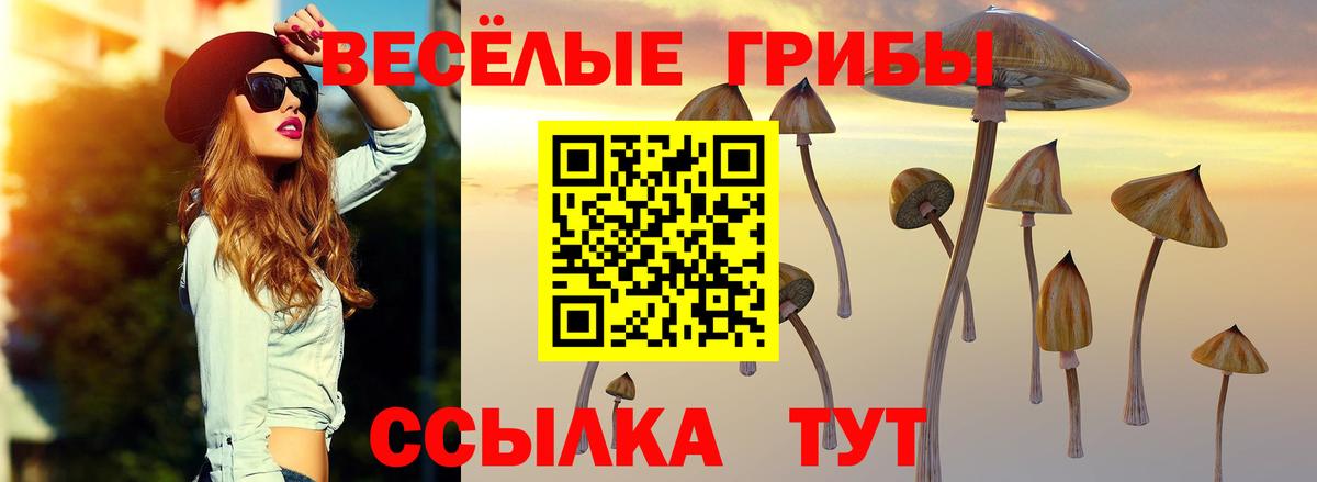 Кумертау  Галлюциногенные грибы GOLDEN TEACHER  Вход с VPN 